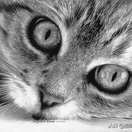 Github Xiaopangq Hough Canny Roberts Sobel - Best Abstract Wallpapers in 4K