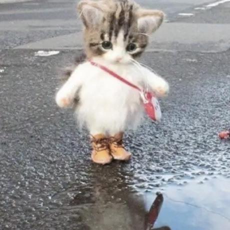 Barbara Richmond Github - Download Ultra HD Dark Photo | 8K