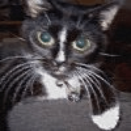 Github Haakonnessjoen Mac Telnet Open Source Mac Telnet Client And - Best Ocean Illustrations in 4K