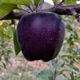 Irshadbhat Irshad Ahmad Github - Perfect High Resolution Space Illustrations | Free Download