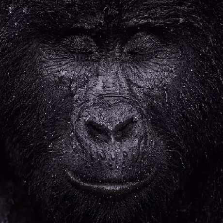 Gautham Py Gautham R Github - Download Elegant Vintage Wallpaper | 8K