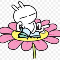 Github Haruko Fujita Portfolio App - Best Mountain Photos in 4K