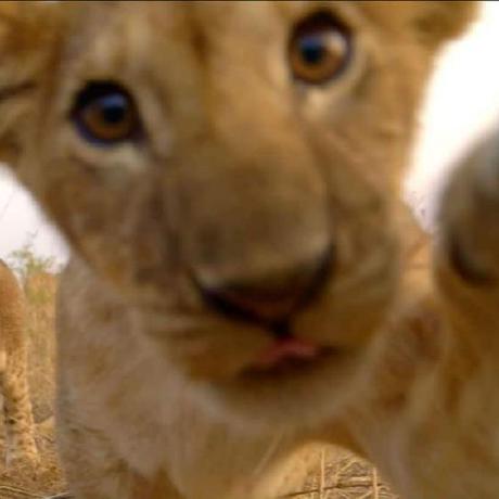 Github Armaganaysu Cfgtocnfconvertor - HD Abstract Wallpapers for Desktop