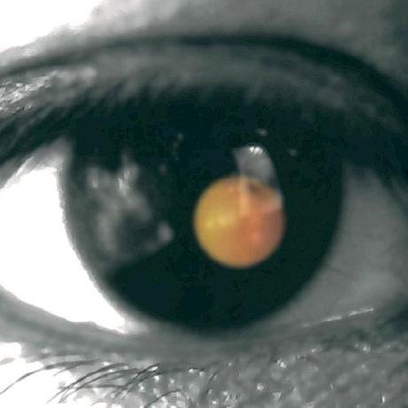 Project Wallfacer Github - Premium Gradient Art Gallery - Retina