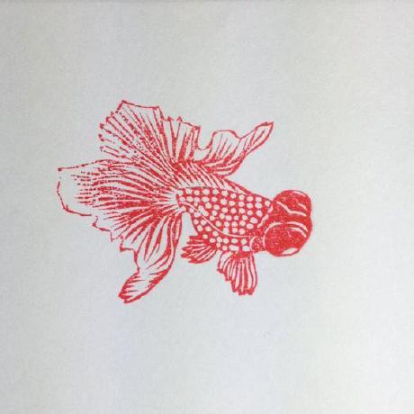 Jacksonburns Jackson Burns Github - Best Dark Photos in Retina