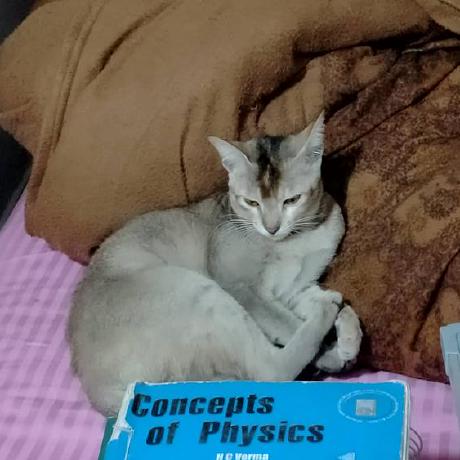 Abhinav Jha 27 Abhinav Jha Github - Elegant Sunset Pattern - Mobile