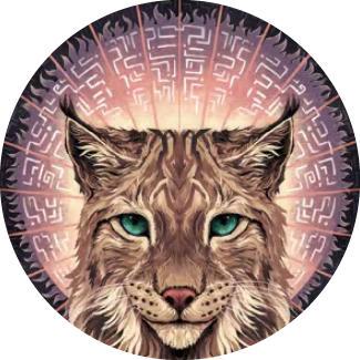 Lynx Rocks Github - Perfect 8K Colorful Images | Free Download