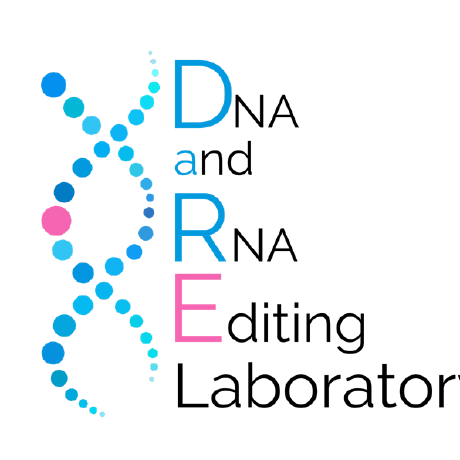 Ucd Dare Lab Github - Colorful Wallpaper Collection - 8K Quality