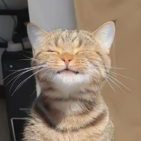 Hackharvard 2024 Hack 4 Impact Devpost - Download Creative Abstract Pattern | Retina