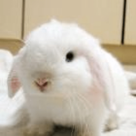 Feeicn Feei Github - Ocean Texture Collection - Mobile Quality