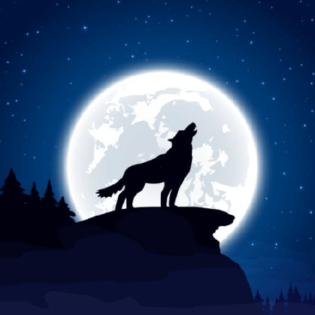 Wolf128058 Wolf Github - Landscape Pictures - Ultra HD Full HD Collection