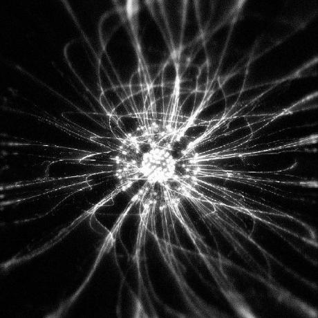 Aleksandar Djukic Github - Sunset Pictures - High Quality 4K Collection