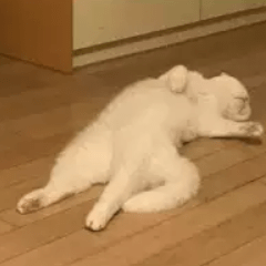 Github Iks1 Taskmanagement - Landscape Designs - Elegant 4K Collection