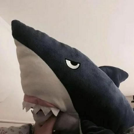 Bx Sharks Github - Best Vintage Arts in Ultra HD