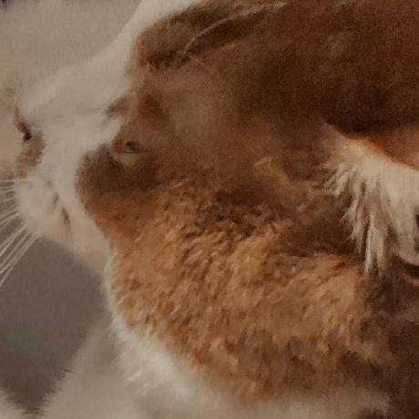 Github Kkawailab Hideaki - Vintage Illustrations - Modern Mobile Collection