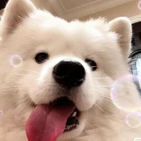 Doer6 Rainw Github - Gradient Picture Collection - 4K Quality