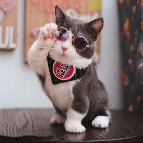 Cillian Cillian Github - Ultra HD Vintage Arts for Desktop