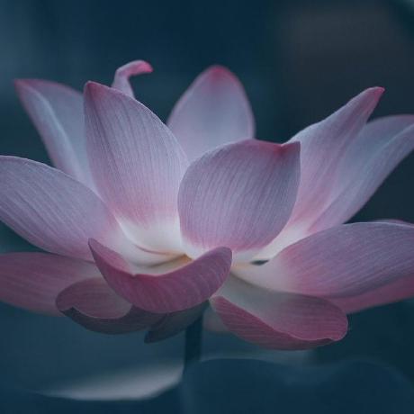 Koichikiyokawa Koichi Kiyokawa Github - 4K Minimal Photos for Desktop