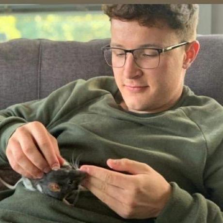 Dec Land Declan Fitzpatrick Github - Incredible Desktop City Illustrations | Free Download