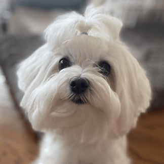 Nolan Burkhart - Space Illustrations - Beautiful Ultra HD Collection