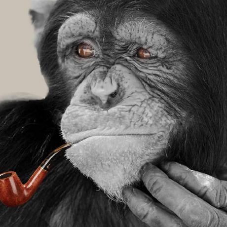 Singe Horizontal Singe Horizontal Github - Incredible Desktop Light Designs | Free Download