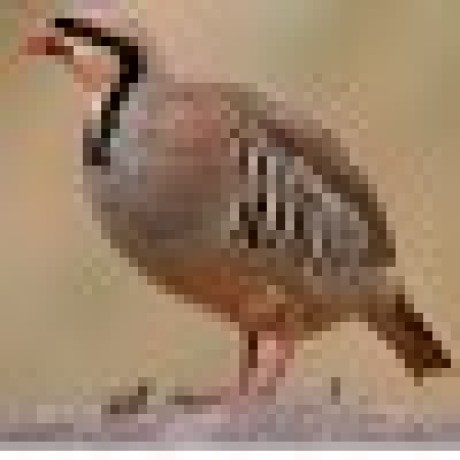 Idealarihant Arihant Github - Creative Retina Vintage Patterns | Free Download