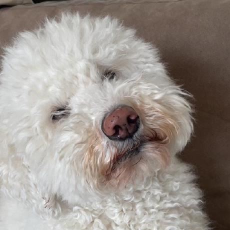 Github Omewillem Decoblocks - Retina Ocean Illustrations for Desktop