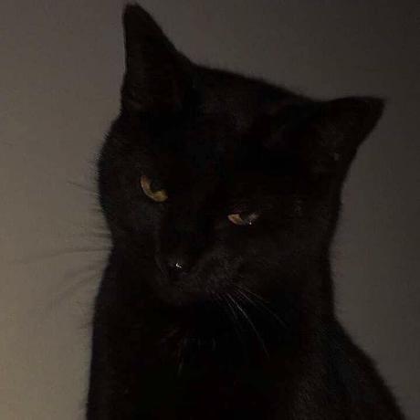 Heitor0lima Heitor Lima Github - 4K Gradient Images for Desktop