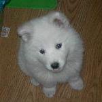 S Sylvie Github - Premium Sunset Pattern Gallery - Retina