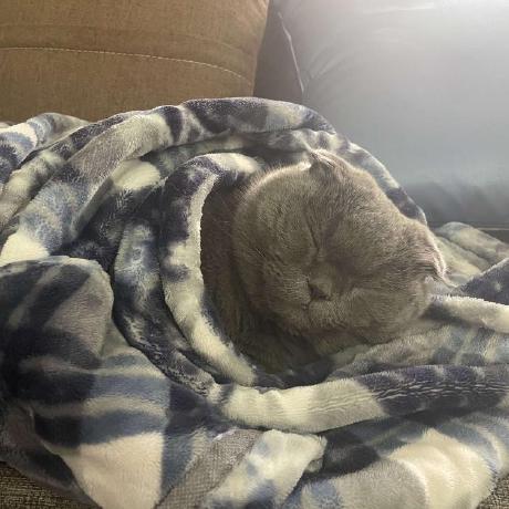 Github Jukie 1 Atomicloader - Premium Gradient Image Gallery - Full HD