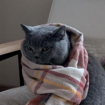 Oleksii Morozov Gitlab - High Resolution Nature Designs for Desktop