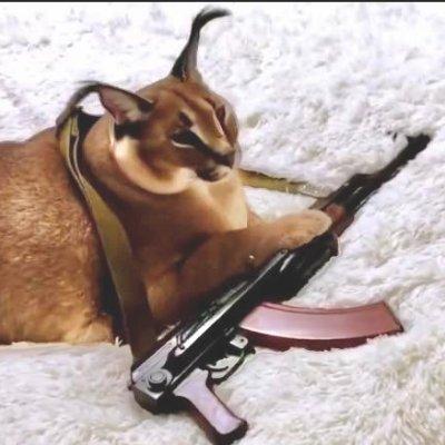 Andromeda Bot Github