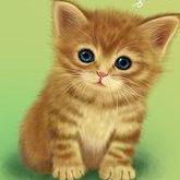 Hart Lin Github - Stunning Colorful Picture - Mobile