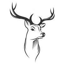 Vincentboxcolor Vincent Github - Premium Sunset Image Gallery - 8K