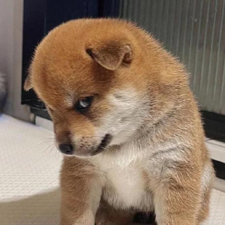 Github Chasingwind Z Feature Selector Pyqt5 Gui - Premium City Wallpaper Gallery - Ultra HD