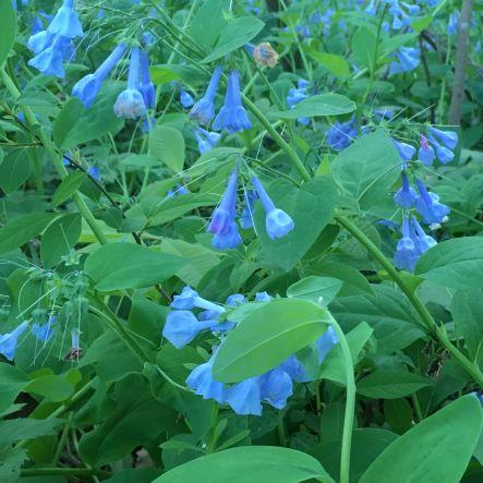 X02sylvie Sylvie Github - 4K Space Patterns for Desktop