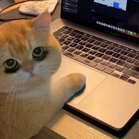 Github Dev Anchi Web - Premium Sunset Pattern Gallery - HD