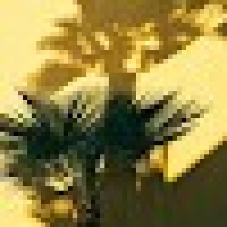 Beer B2 Github - Sunset Patterns - Perfect 4K Collection