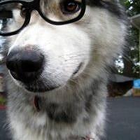 Zergon321 Redbull Github - Best Minimal Patterns in Retina