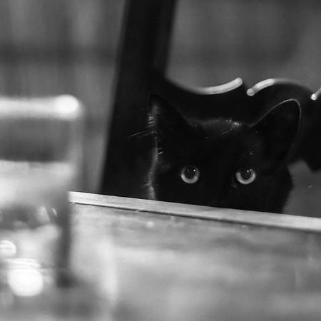 Github Adrien Gogois Backend Chapt01 - High Resolution Dark Arts for Desktop