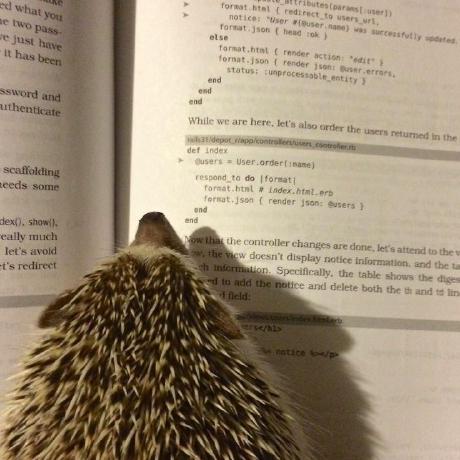 Yuliafl Yulia Flenova Github - HD Geometric Pictures for Desktop