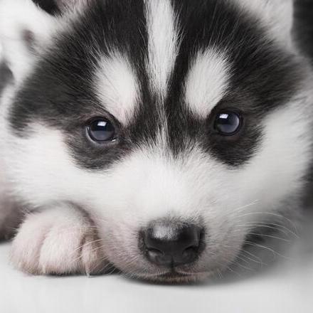 Yuto Hiraoka Github - Beautiful Mobile Abstract Textures | Free Download