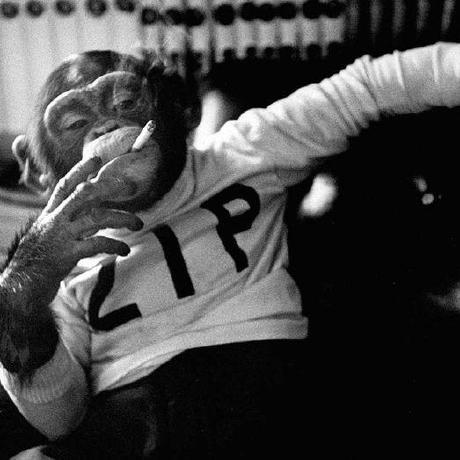 Alik Laha Alik Laha Github - Ultra HD High Resolution Landscape Arts | Free Download