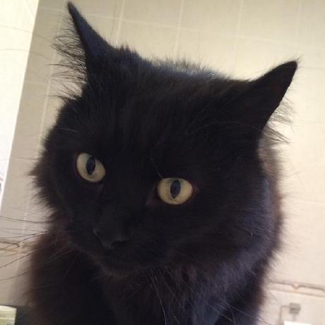 Nogro Dim Nogro Github - Best Landscape Backgrounds in Ultra HD