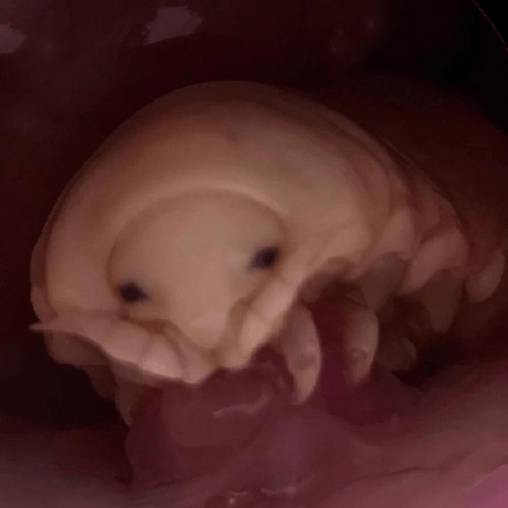 Github Bmhn Somethingneeddoing - Download Ultra HD Landscape Illustration | Desktop