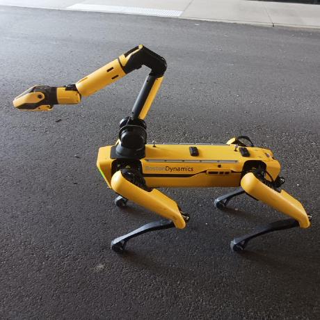 Iris2hu Github - Premium Landscape Illustration Gallery - HD