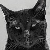 Captbaldy Andreas Friesen Github - Full HD Geometric Pictures for Desktop