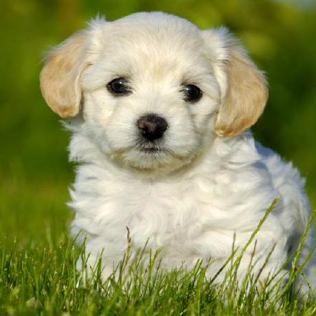 Coma Programming Language Github - Nature Pattern Collection - Full HD Quality