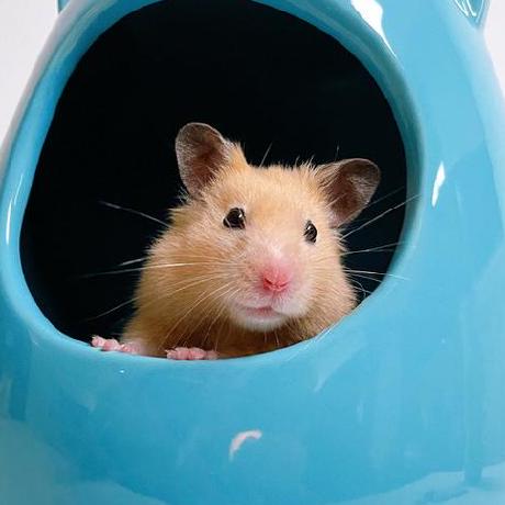 Andreicantor Andrei Cantor Github - Ocean Photos - Perfect 4K Collection