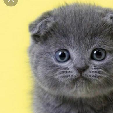 Chloeeh Chloe Github - HD Abstract Pictures for Desktop